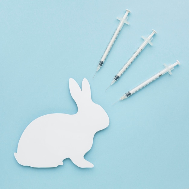 Foto grátis vista superior do coelho de papel com seringas para o dia do animal