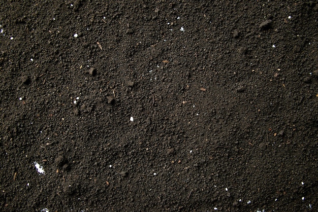 Foto grátis vista superior do fundo escuro do solo