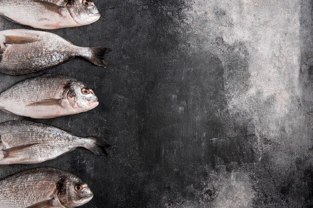 Vista superior do peixe de um lado com espaço de cópia de ingredientes