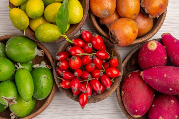 Vista superior feijoas de frutas diferentes e outras frutas dentro de pratos em fundo branco saúde árvore tropical exótica madura cor de baga