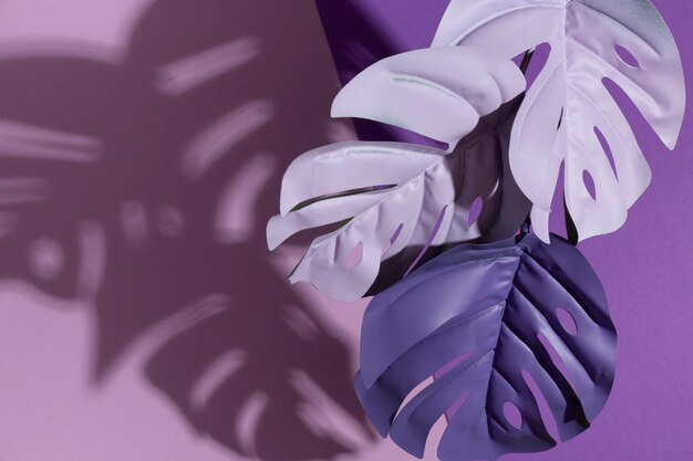 Vista superior folhas roxas com fundo roxo