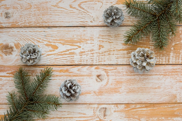 Foto grátis vista superior lindas agulhas e cones de pinheiro de inverno