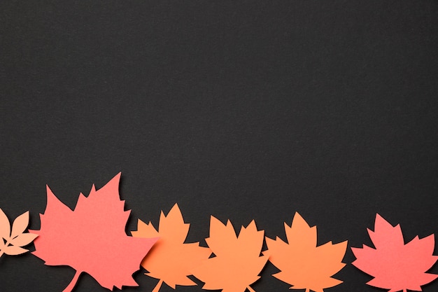Vista superior papel Outono folhas variedade com espaço de cópia