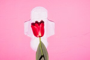 Vista superior toalha sanitária com flores