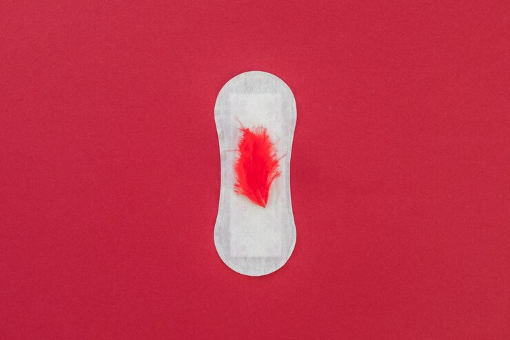 Foto grátis vista superior toalha sanitária com pêlo vermelho