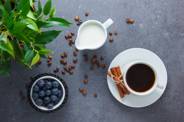 Vista superior, uma xícara de café com mirtilos, canela seca, planta, leite na superfície cinza. horizontal