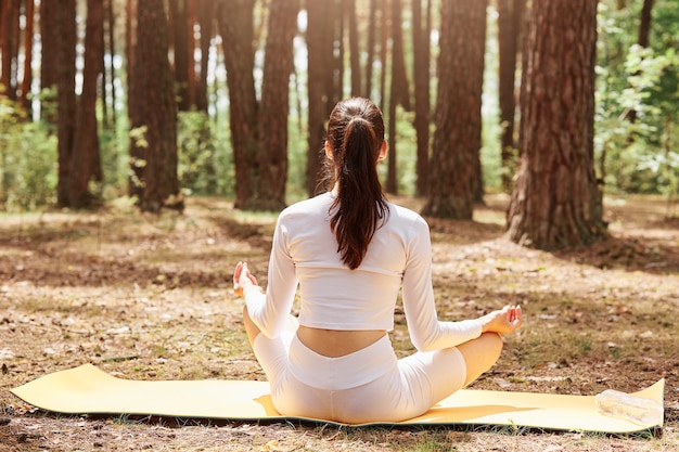 Vista traseira de uma mulher com rabo de cavalo em roupas esportivas apertadas, sentada em posição de lótus no tapete do ginásio, praticando ioga, meditando na floresta, praticando esportes