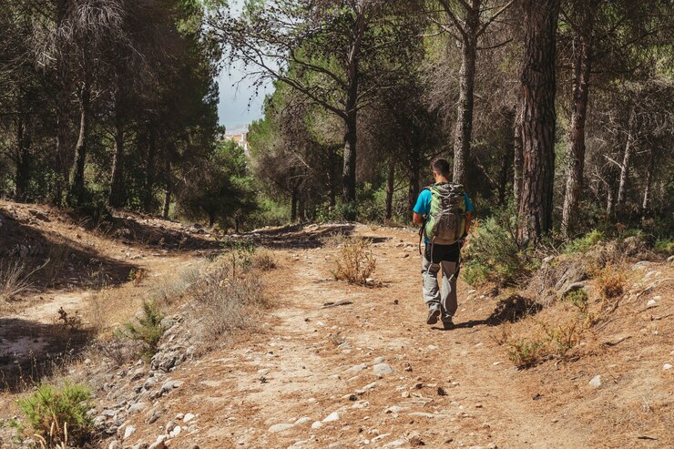 Foto grátis vista traseira do homem andando no caminho na floresta