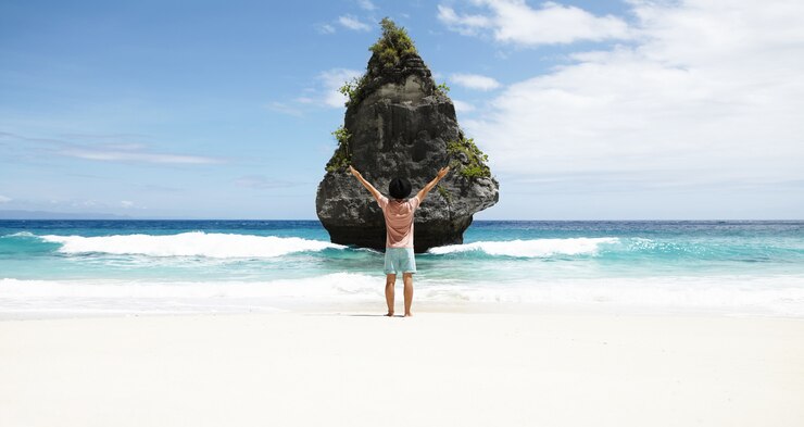 Foto grátis vista traseira do homem em frente à ilha rochosa com vegetação tropical, admirando a vista maravilhosa, em pé na praia com água azul do oceano e céu azul no horizonte