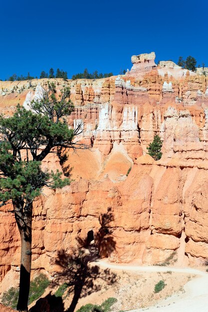 Vista vertical da trilha Navajo em Bryce Canyon, Utah