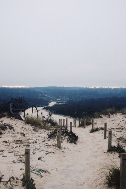 Vista vertical de um pequeno caminho nas dunas sob um céu nublado e sombrio