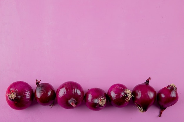 Visualização horizontal de cebola vermelha em fundo roxo, com espaço de cópia