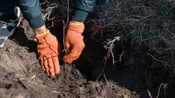 Foto grátis voluntário plantando árvores na natureza