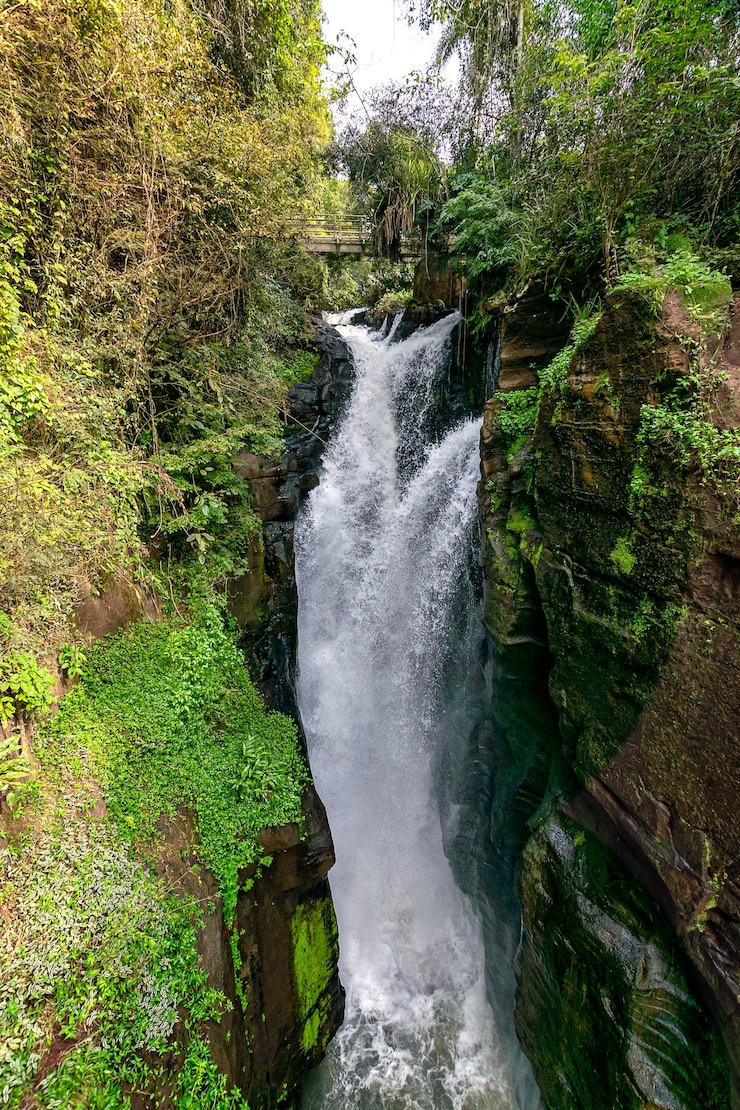 Foto grátis waterfal no parque nacional das cataratas do iguaçu, argentina