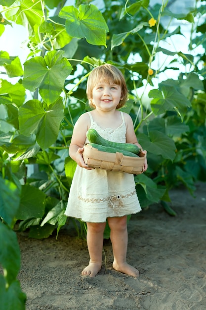 2 Jahre Kinderkorb Gurken