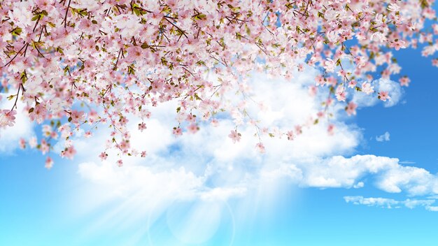 3D auf einem blauen sonnigen Himmel der Kirschblüte machen