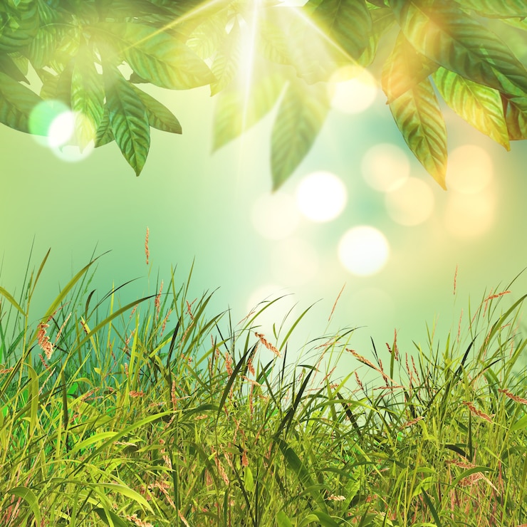 Kostenlose Foto 3d blätter und gras hintergrund