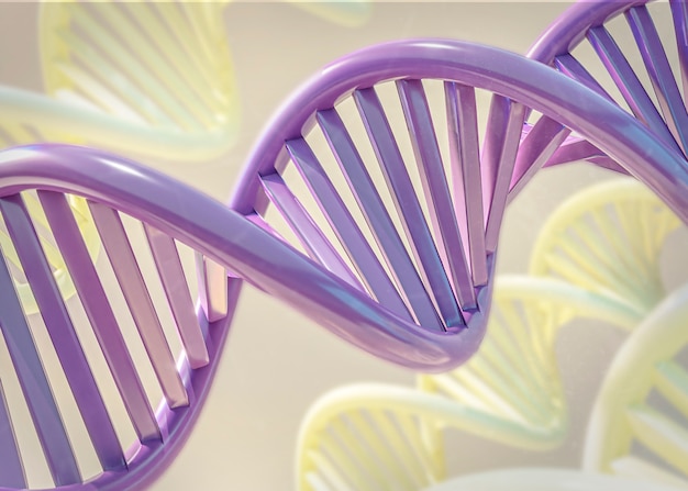 3D-Darstellung der DNA