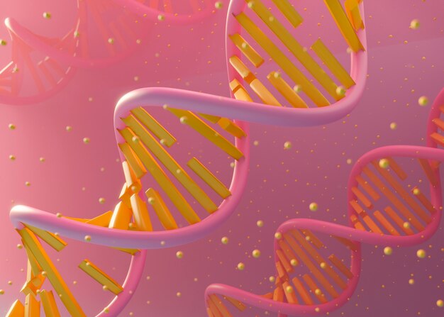 3D-Darstellung der DNA