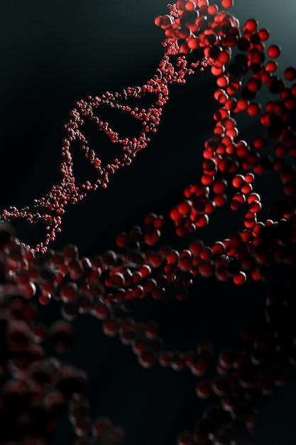 3D-Darstellung der DNA