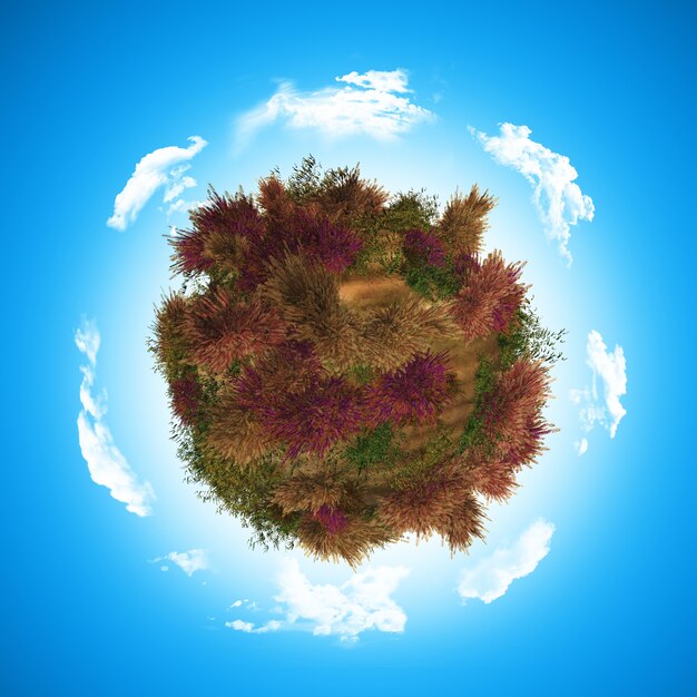 3D-Globus mit Heidekraut und Farn
