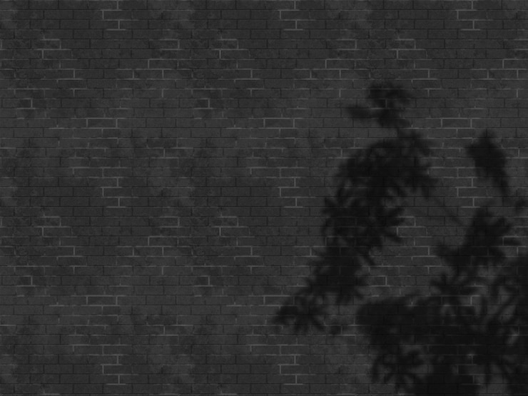 Kostenlose Foto 3d-grunge-mauer mit schattenüberlagerung