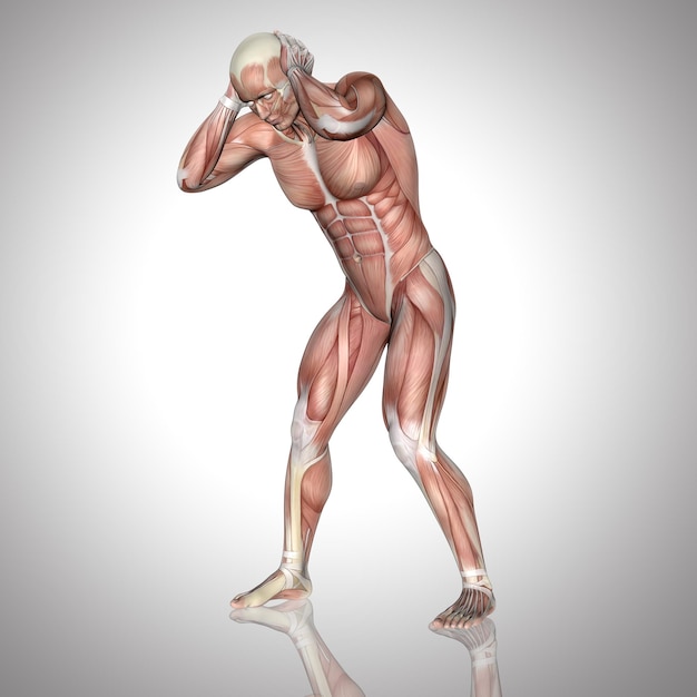 Kostenloses Foto 3d männliche figur mit muskelkarte, die den kopf vor schmerzen hält