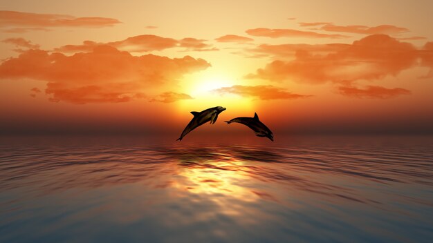 3D-Render ein Meer von einem Sonnenuntergang über mit Delphine springen