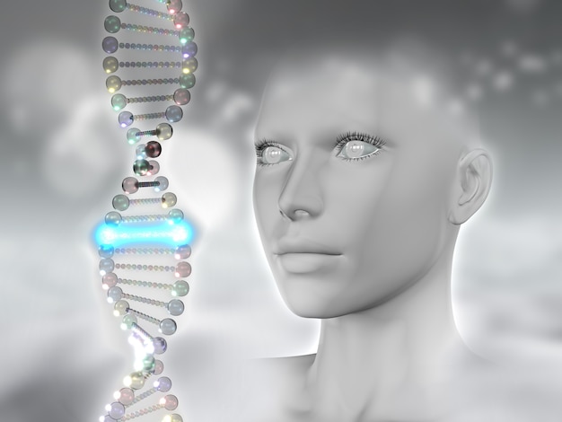 3D übertragen von einem weiblichen Kopf und DNA mit einem leuchtenden Strängen