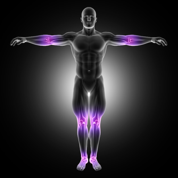 3D übertragen von einer männlichen medizinischen Figur in stehende Pose mit Gelenken hervorgehoben