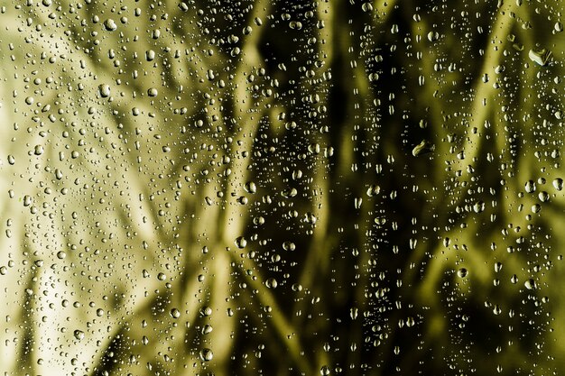 Abstrakte Oberfläche mit Wassertropfen