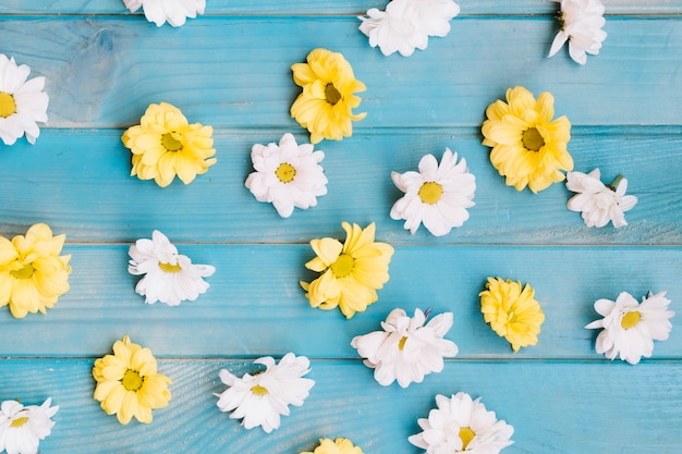 Kostenloses Foto abstrakte weiße und gelbe blüten