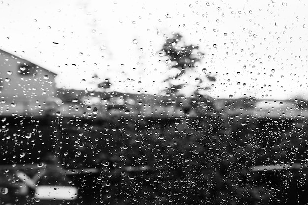 Abstrakter Hintergrund mit Regentropfen auf Glas Schwarz-Weiß-Foto