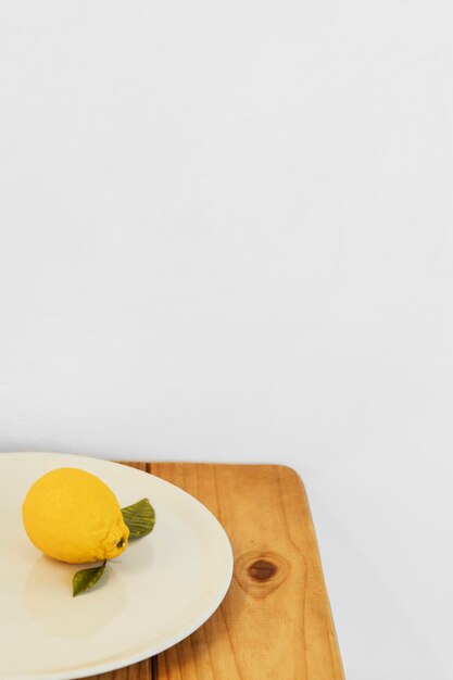 Abstrakter minimaler Konzept-Zitronen-Kopienraum