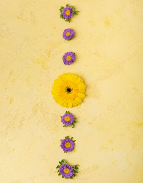 Abstrakter Streifen von gelben und violetten Gänseblümchen