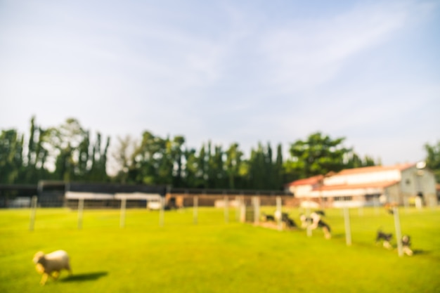 Abstrakter Unschärfepark mit grünem Feld