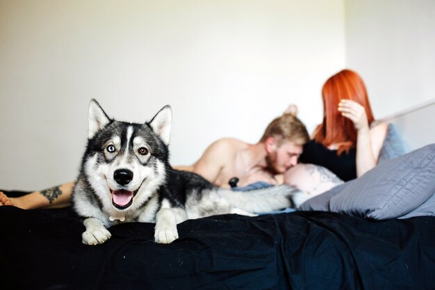 Adorable Hund auf dem Bett mit schwangeren Paar