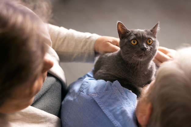 Kostenloses Foto Ältere leute des hohen winkels mit katze