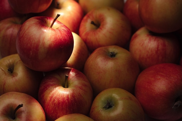 Äpfel obst. mehrere frische äpfel im schatten unter sonnenstrahlen
