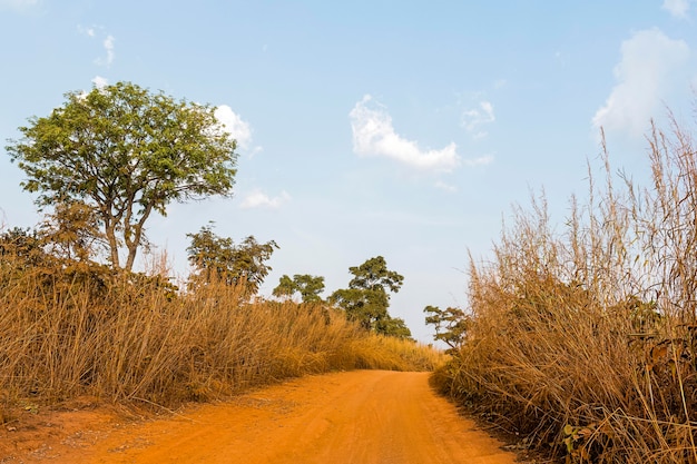 Afrikanische Naturlandschaft mit Weg