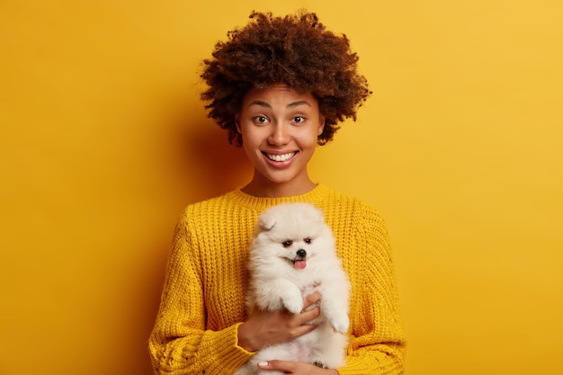 Afroamerikanische Frau hält Hund der Rasse Pomeranian Spitz, mag Miniatur flauschiges Haustier, posiert mit niedlichen Tier gegen lebendigen gelben Hintergrund