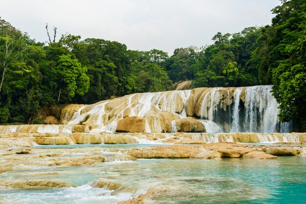 Wasserfall Mexiko Kostenlose Vektoren Fotos Und Psd Dateien