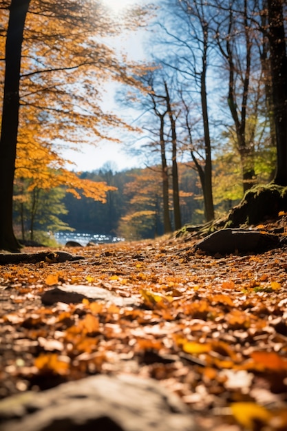 Kostenloses Foto ai erzeugt fallblätter bild