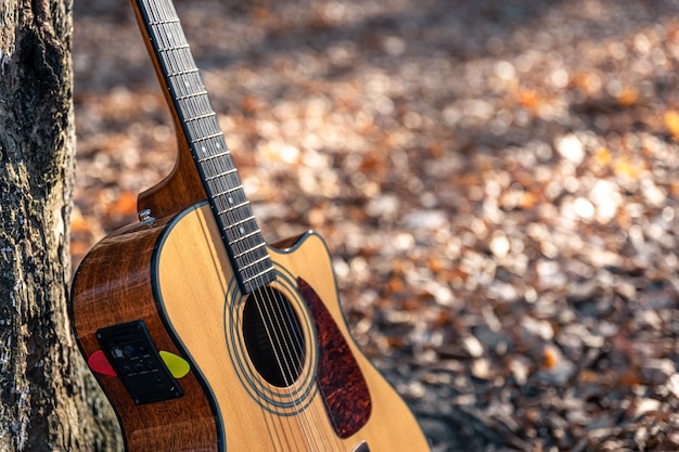 Kostenloses Foto akustikgitarre auf einem verschwommenen hintergrund eines herbstlichen waldes