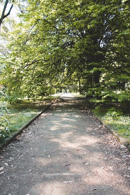 Alley im schönen Park