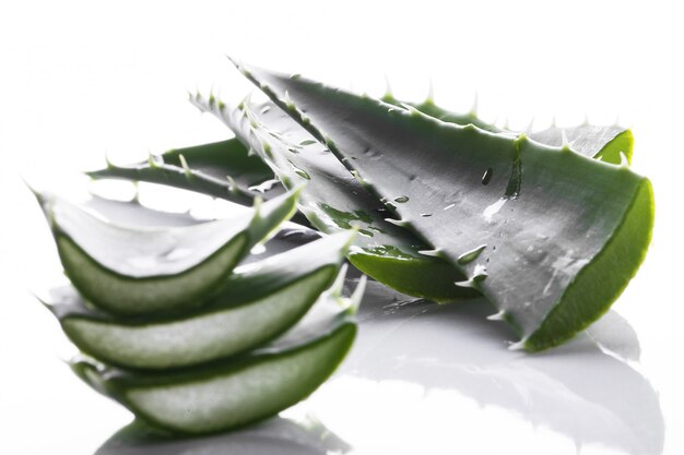 Aloevera auf dem Tisch