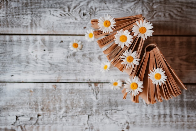 Alte bücher mit blumen der weißen feldgänseblümchen. . freier platz für text