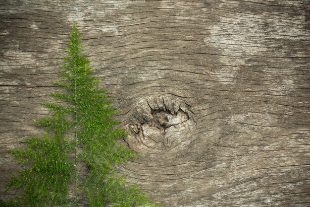 Alte Holzoberfläche mit dem hölzernen Gras benutzt als Hintergrund