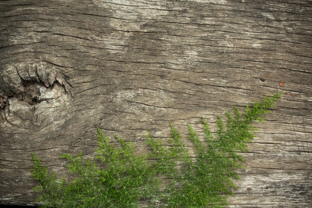 Alte Holzoberfläche mit dem hölzernen Gras benutzt als Hintergrund