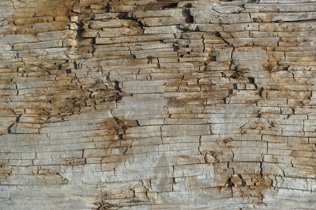 Alte Markierungen auf einem Holz